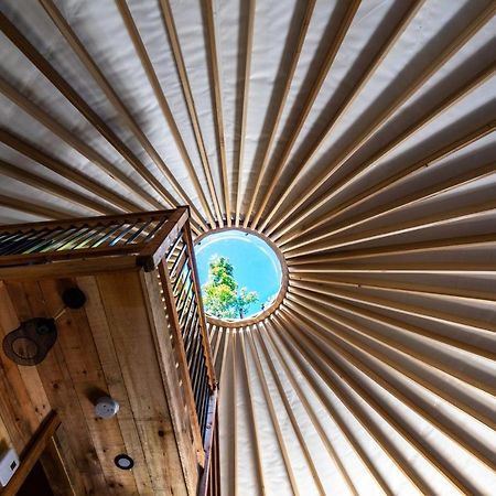 Yourtes Glamping Du Poisson Blanc Notre-Dame-du-Laus Buitenkant foto